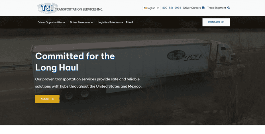 Screenshot of TSI - Home page