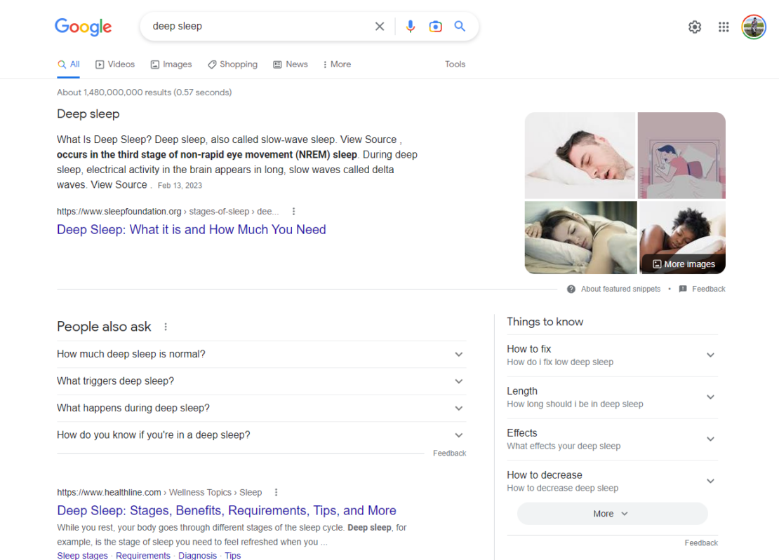 Google screenshot from February 20, 2023 for the query 'deep sleep'