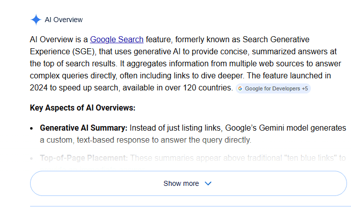 A screenshot of an AI overview for the query "What is an AI Overview"