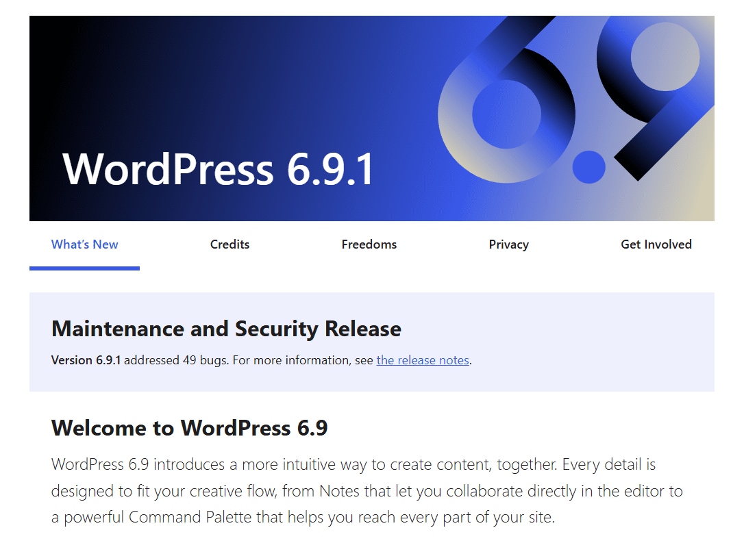 A screenshot of CMS WordPress Version 6.9.1 